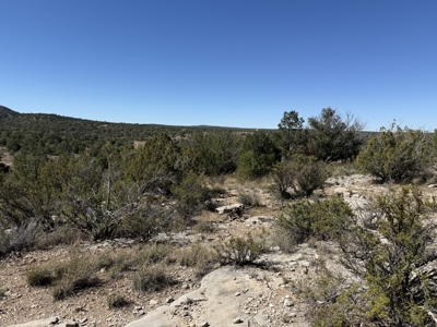 3 Off Grid Acres in Bridge Canyon Just over 5400 ft Elevation - image 1