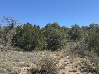 3 Off Grid Acres in Bridge Canyon Just over 5400 ft Elevation - image 15