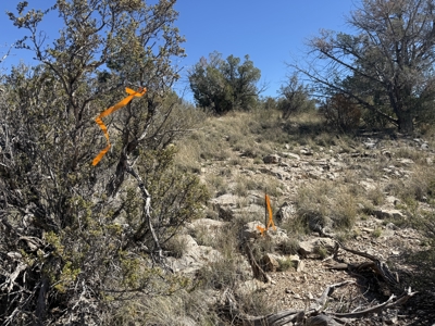3 Off Grid Acres in Bridge Canyon Just over 5400 ft Elevation - image 12