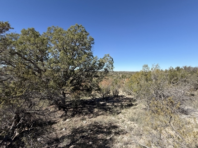 3 Off Grid Acres in Bridge Canyon Just over 5400 ft Elevation - image 11