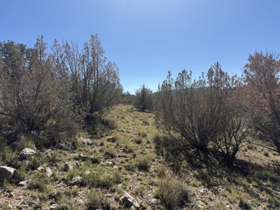 3 Off Grid Acres in Bridge Canyon Just over 5400 ft Elevation - image 21