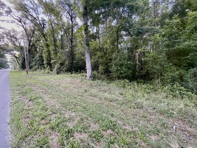 Lot In Three Rivers Estates In Fort White Florida For Sale - image 4