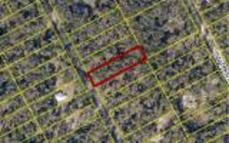 Lot In Three Rivers Estates In Fort White Florida For Sale - image 1