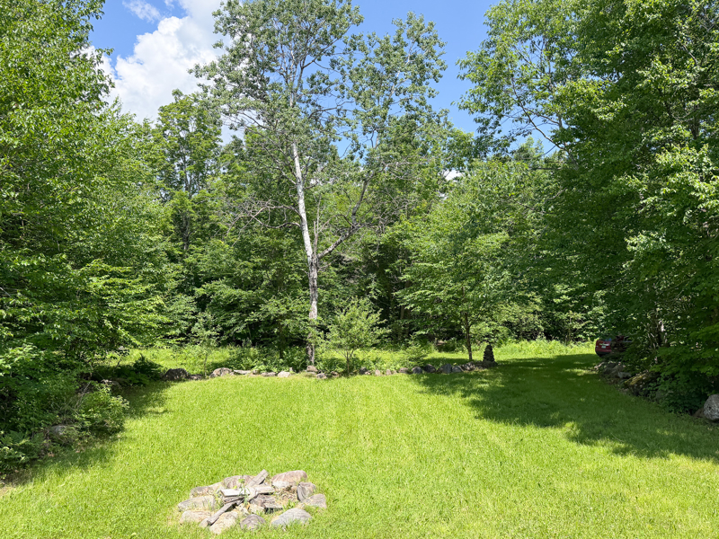 No Caption