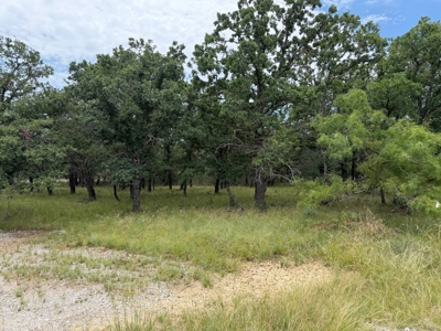 Oak Point Lake Brownwood TX Lot with Trees and Lake Access - image 4
