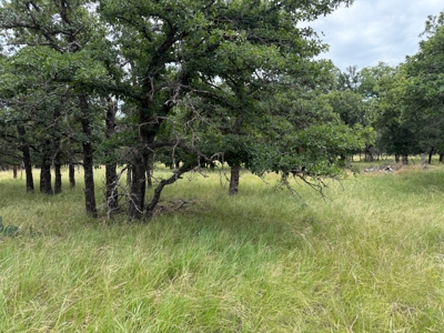 Oak Point Lake Brownwood TX Lot with Trees and Lake Access - image 8