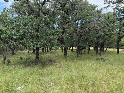 Oak Point Lake Brownwood TX Lot with Trees and Lake Access - image 7