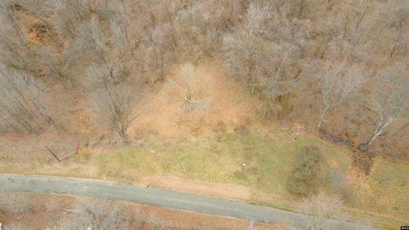 69 Acre Hunting Land for Sale in Lauderdale County, TN - image 7