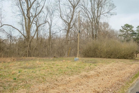 69 Acre Hunting Land for Sale in Lauderdale County, TN - image 15