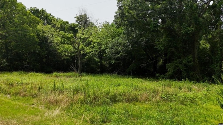 69 Acre Hunting Land for Sale in Lauderdale County, TN - image 17