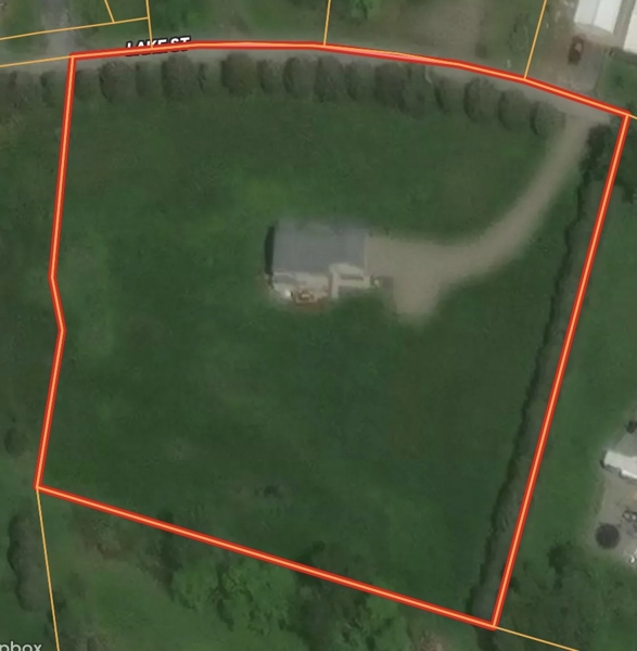 No Caption
