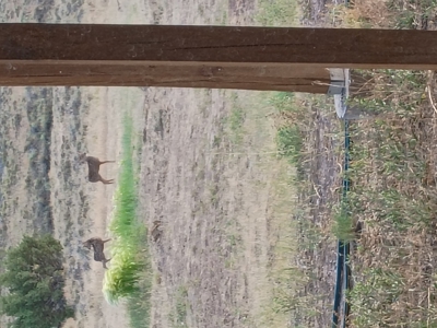 Secluded Contemporary Home, BLM Land on 3 Sides, Mountain Views - image 22