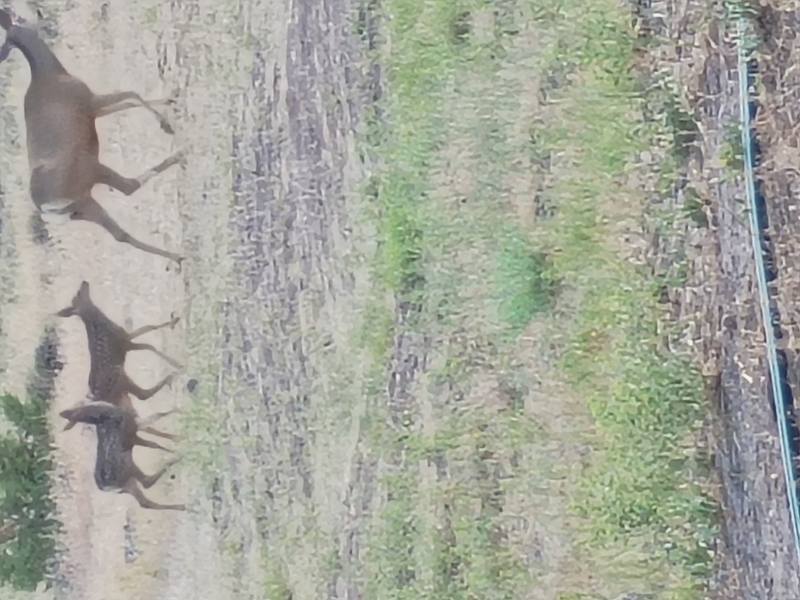 No Caption