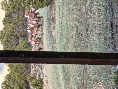 Secluded Contemporary Home, BLM Land on 3 Sides, Mountain Views - image 20