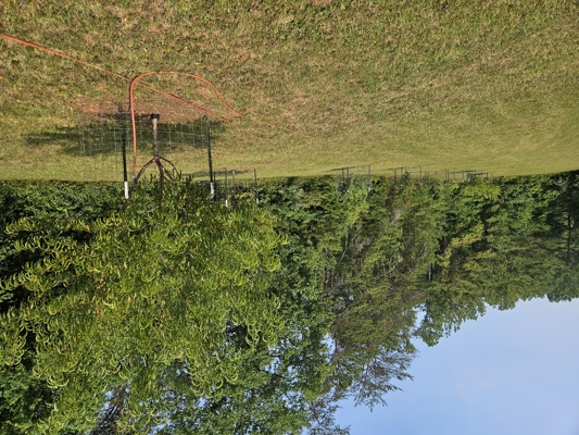 Land for Sale in Ferrum Virginia