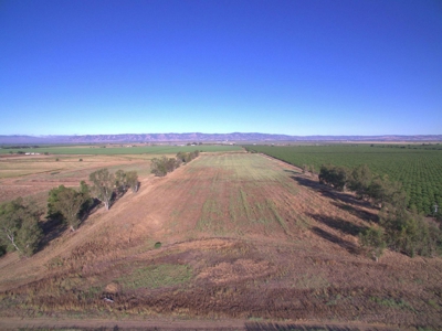 Organic 320 Acres of Farmland in Northern CA with Homes for Sale - image 36