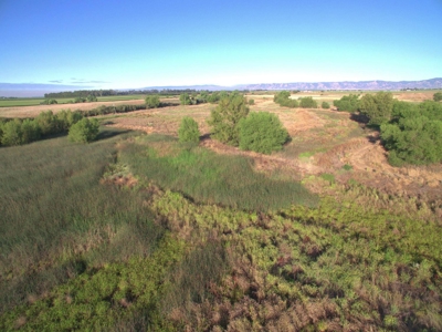 Organic 320 Acres of Farmland in Northern CA with Homes for Sale - image 32