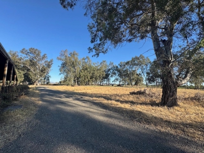Organic 320 Acres of Farmland in Northern CA with Homes for Sale - image 25