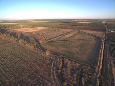 Organic 320 Acres of Farmland in Northern CA with Homes for Sale - image 47