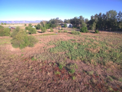 Organic 320 Acres of Farmland in Northern CA with Homes for Sale - image 33