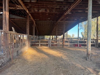 Organic 320 Acres of Farmland in Northern CA with Homes for Sale - image 8