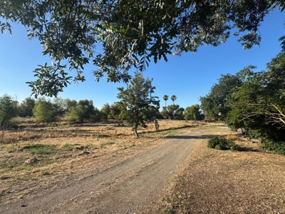 Organic 320 Acres of Farmland in Northern CA with Homes for Sale - image 26