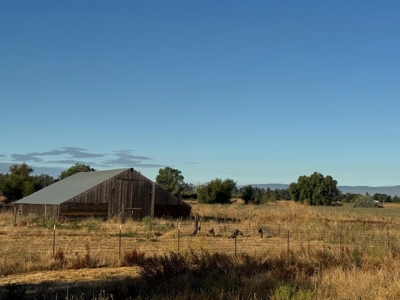 Organic 320 Acres of Farmland in Northern CA with Homes for Sale - image 11