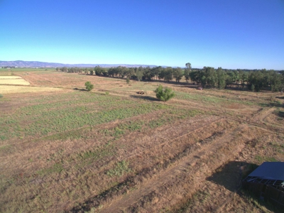 Organic 320 Acres of Farmland in Northern CA with Homes for Sale - image 41