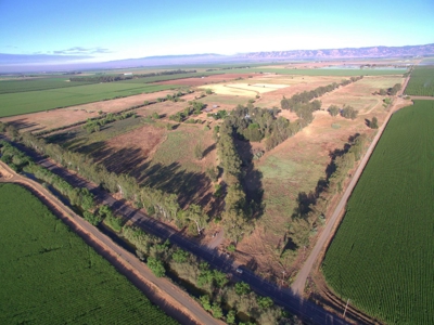 Organic 320 Acres of Farmland in Northern CA with Homes for Sale - image 28