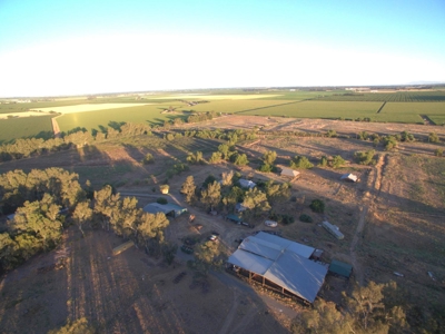 Organic 320 Acres of Farmland in Northern CA with Homes for Sale - image 50