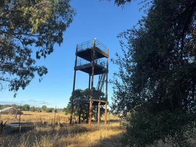 Organic 320 Acres of Farmland in Northern CA with Homes for Sale - image 6