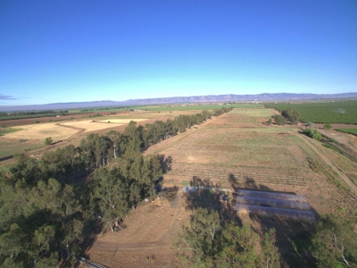 Organic 320 Acres of Farmland in Northern CA with Homes for Sale - image 27