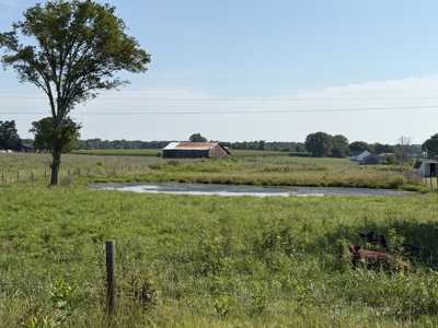 11.39 acres for sale near Oakland & Smiths Grove Ky. - image 11