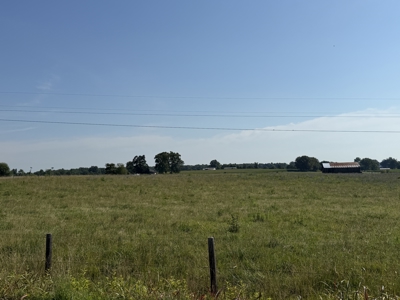 11.39 acres for sale near Oakland & Smiths Grove Ky. - image 14