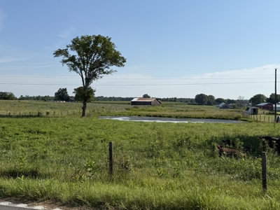 11.39 acres for sale near Oakland & Smiths Grove Ky. - image 12