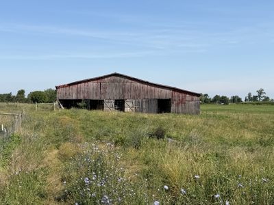 11.39 acres for sale near Oakland & Smiths Grove Ky. - image 9