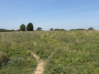 11.39 acres for sale near Oakland & Smiths Grove Ky. - image 7