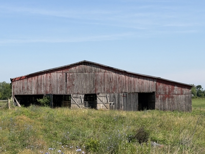 11.39 acres for sale near Oakland & Smiths Grove Ky. - image 8