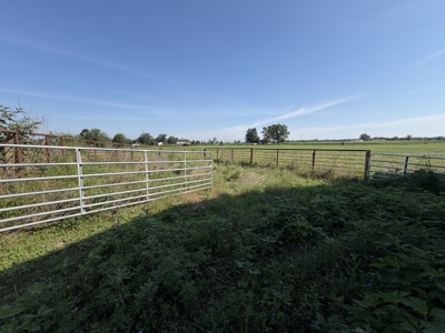 11.39 acres for sale near Oakland & Smiths Grove Ky. - image 6