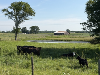 11.39 acres for sale near Oakland & Smiths Grove Ky. - image 10