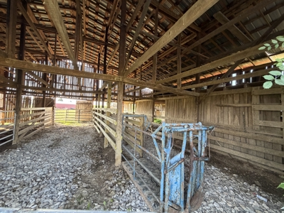 11.39 acres for sale near Oakland & Smiths Grove Ky. - image 4