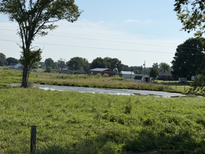 11.39 acres for sale near Oakland & Smiths Grove Ky. - image 13