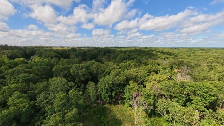 Rustic Ozarks Home on 27.5 Acres | Missouri Ozarks - image 40