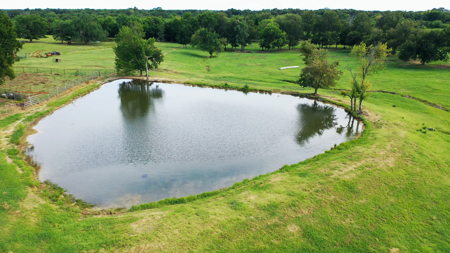 Ranchette on 13 Acres with Shop & Pond - image 22