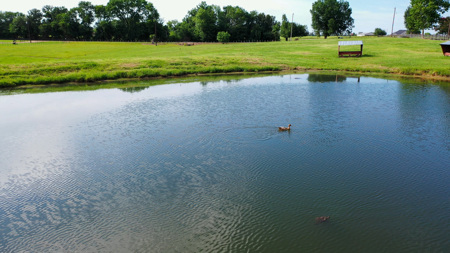 Ranchette on 13 Acres with Shop & Pond - image 26