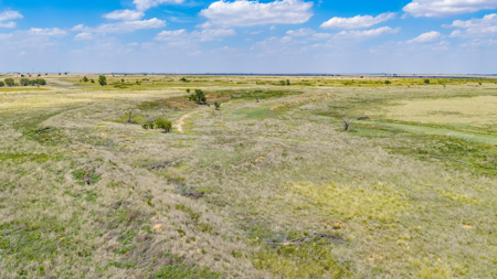 354.2+/- Acres CRP Hunting Ranch Land in Lamb County, Texas - image 24
