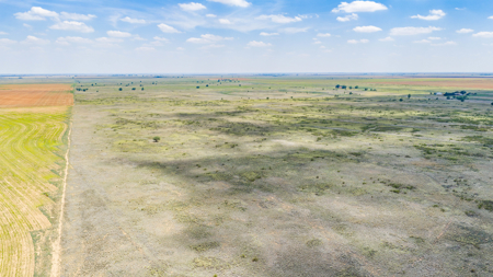 354.2+/- Acres CRP Hunting Ranch Land in Lamb County, Texas - image 5