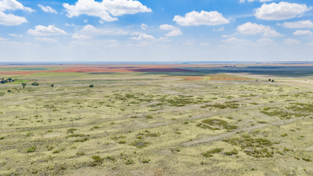 354.2+/- Acres CRP Hunting Ranch Land in Lamb County, Texas - image 12