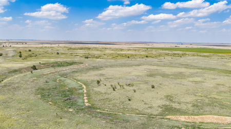 354.2+/- Acres CRP Hunting Ranch Land in Lamb County, Texas - image 36