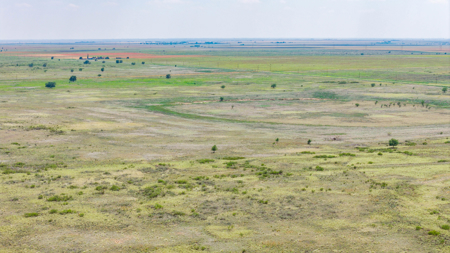 354.2+/- Acres CRP Hunting Ranch Land in Lamb County, Texas - image 9